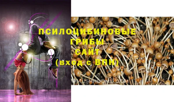 Альфа ПВП Богородск