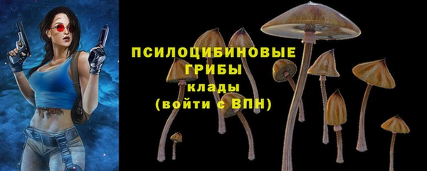 синтетический гашиш Богданович