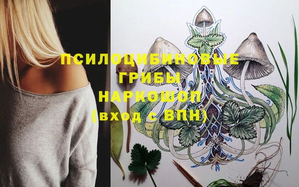 Альфа ПВП Богородск