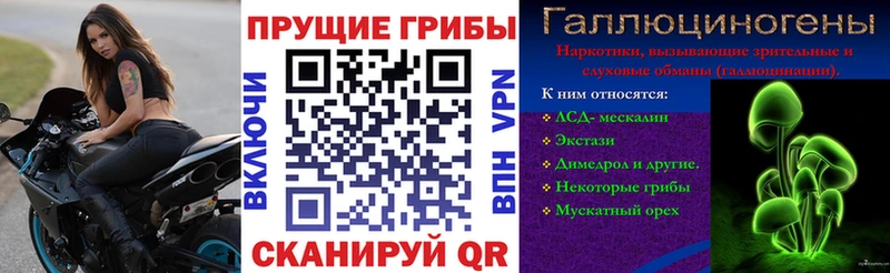 где найти MEGA ONION Псилоцибиновые грибы MAGIC MUSHROOMS Кострома