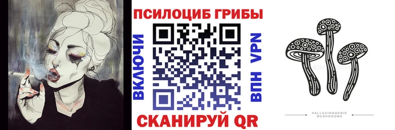 Галлюциногенные грибы Cubensis Кострома