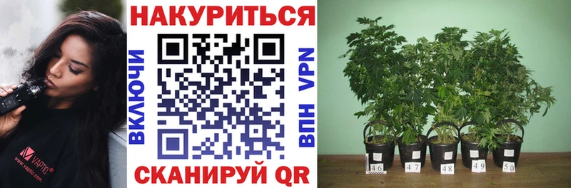 Шишки марихуана Ganja  Кострома 